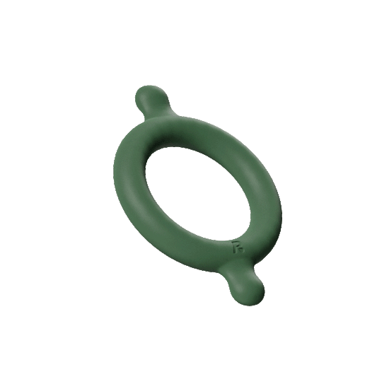 Winged Ring